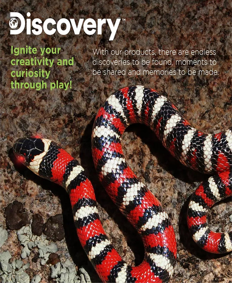 Toy Remote Control King Snake