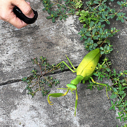 RC Praying Mantis Toy IR Remote Control Animal Realistic Insect Car Vehicle Electric for Kids Birthday Gifts