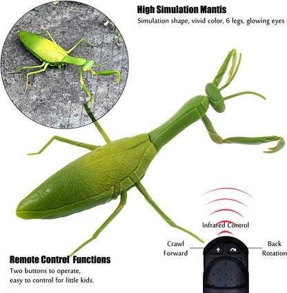 RC Praying Mantis Toy IR Remote Control Animal Realistic Insect Car Vehicle Electric for Kids Birthday Gifts