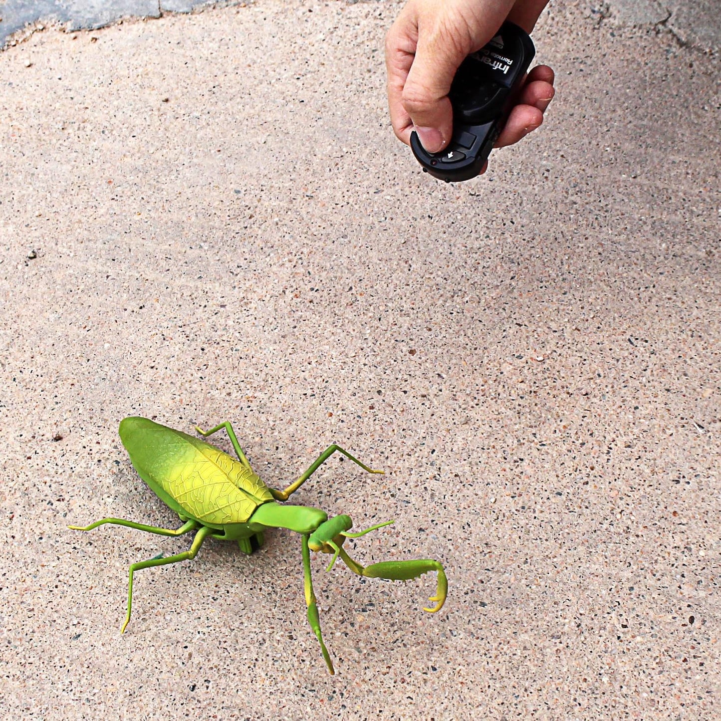 RC Praying Mantis Toy IR Remote Control Animal Realistic Insect Car Vehicle Electric for Kids Birthday Gifts